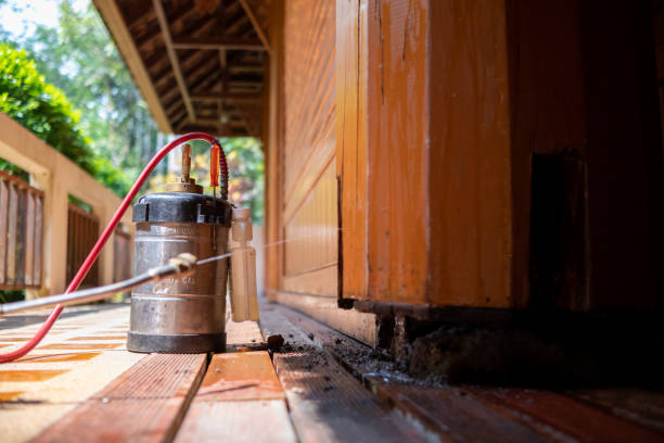 Best Wasp Removal Services  in Wantagh, NY